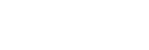 max visa logo white